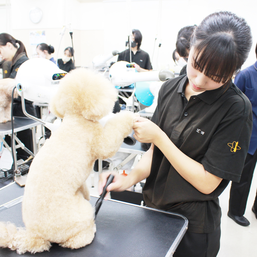 新学期もがんばりましょう♪